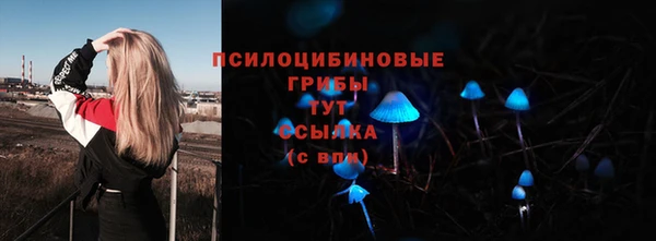 apvp Абаза