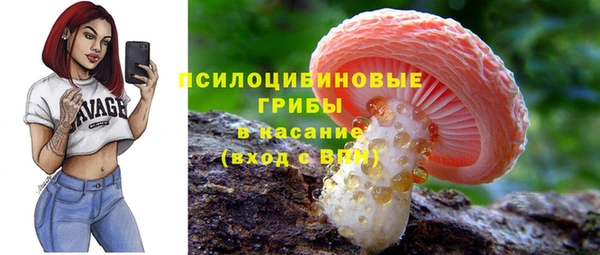 apvp Абаза