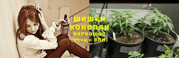 apvp Абаза