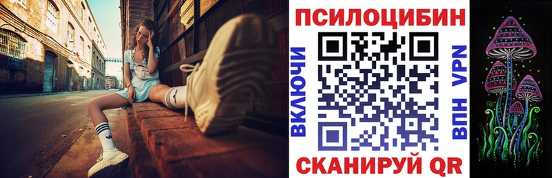Галлюциногенные грибы Psilocybe  mega   Шумерля 