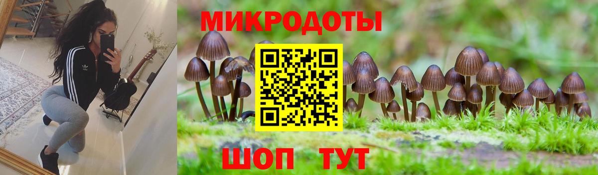 Шумерля  Псилоцибиновые грибы GOLDEN TEACHER  дарнет шоп  Вход с VPN  Галлюциногенные грибы GOLDEN TEACHER 